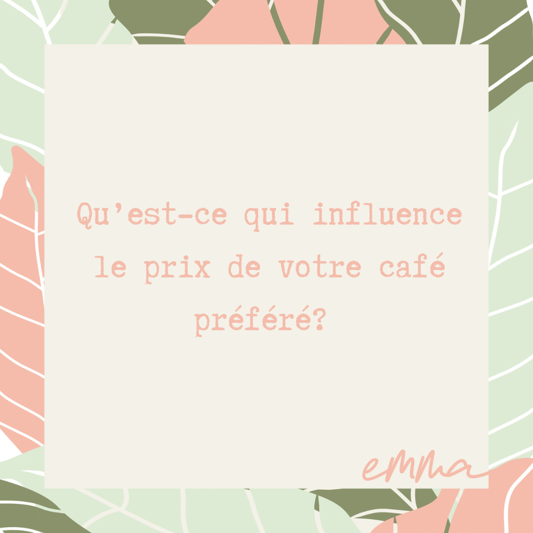 L'Amazone 2.0-L'autre préféré