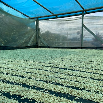 Abonnement Ephémère 2x2lbs