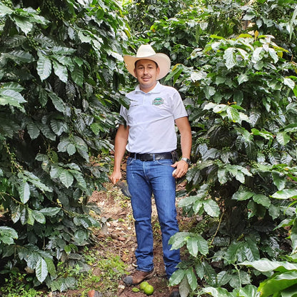 Ephémère Honduras