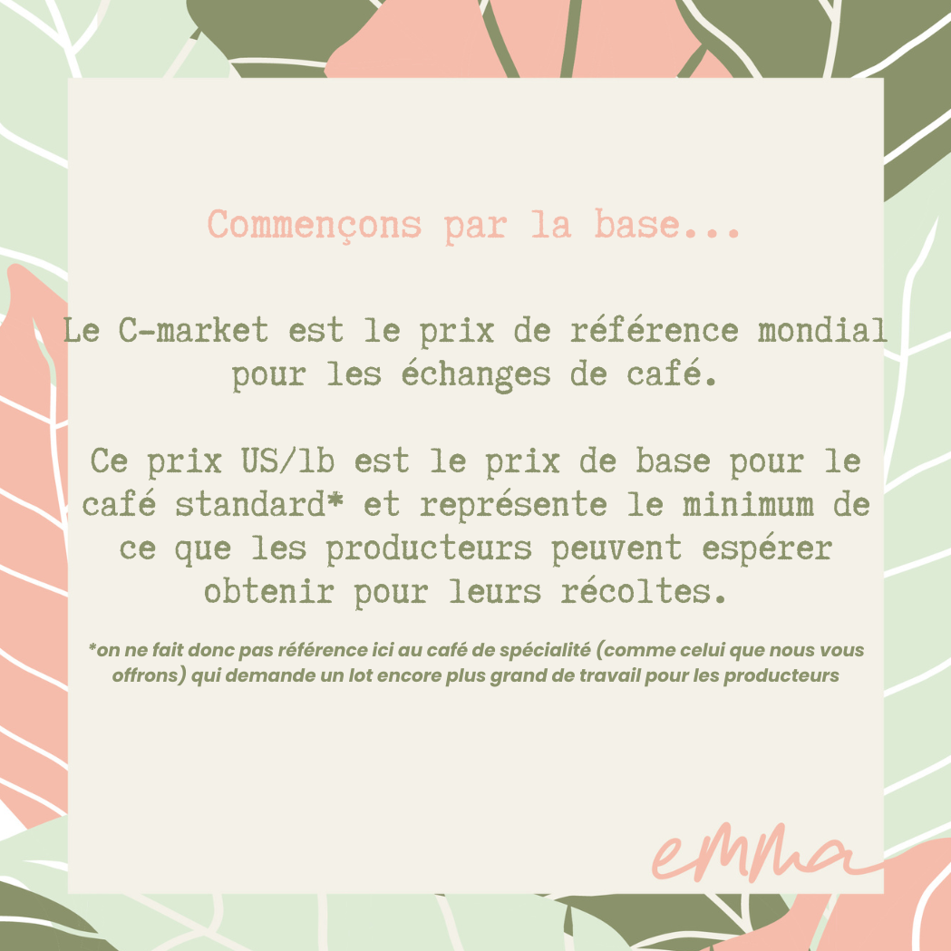 L'Amazone 2.0-L'autre préféré