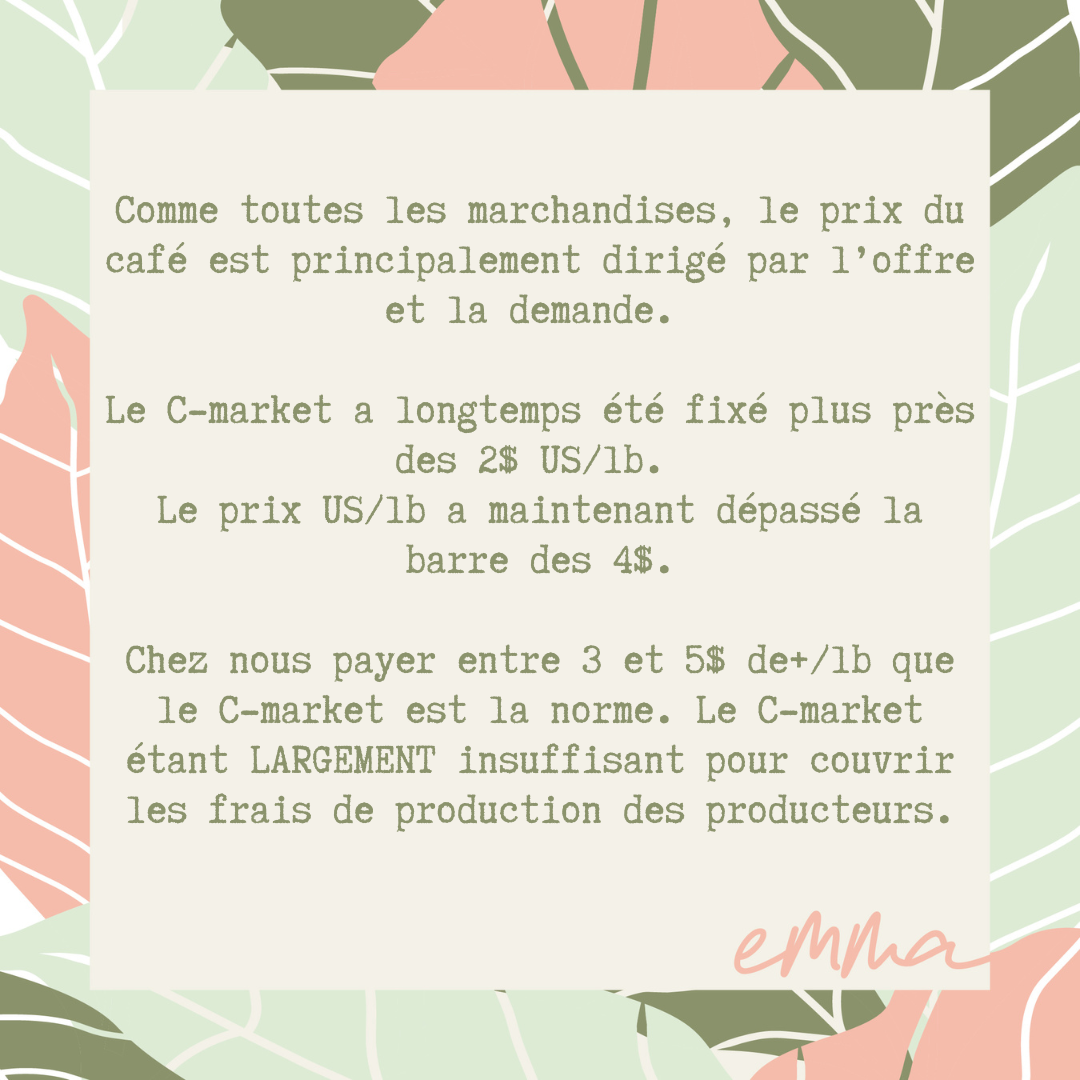 L'Amazone 2.0-L'autre préféré