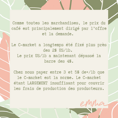 L'Amazone 2.0-L'autre préféré