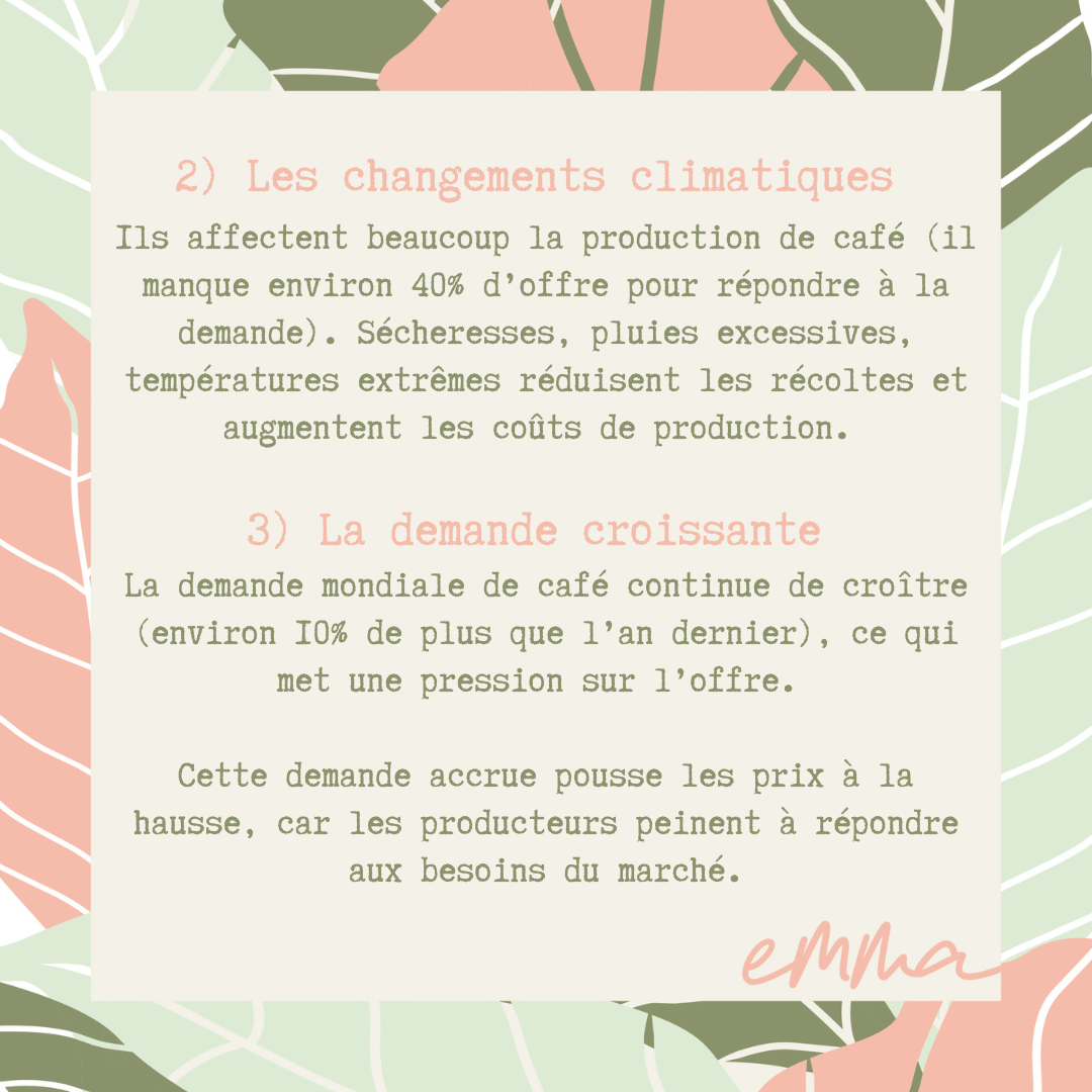 L'Amazone 2.0-L'autre préféré