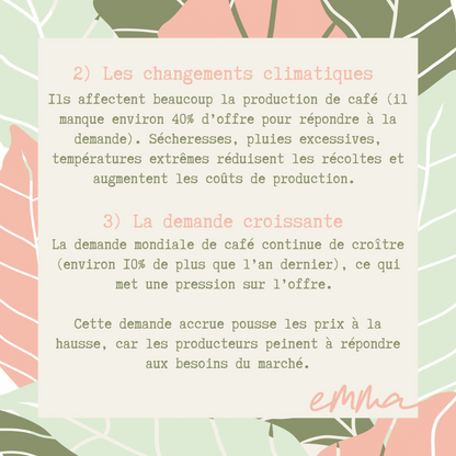 L'Amazone 2.0-L'autre préféré