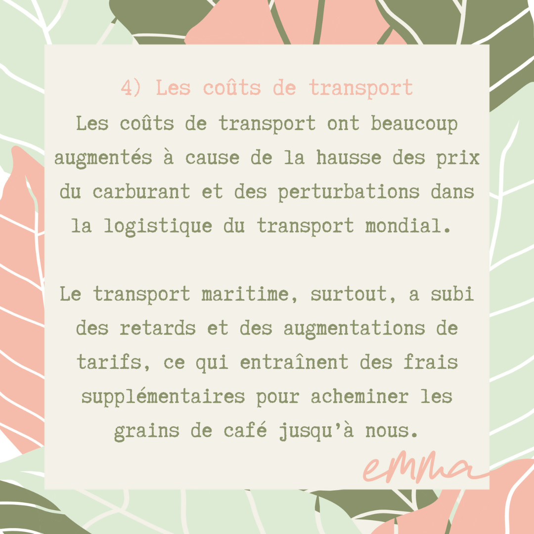 L'Amazone 2.0-L'autre préféré