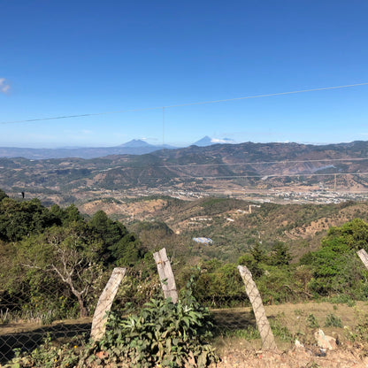 Le Campi (auparavant l'Ambicieux) - Chocolat au lait et noix
