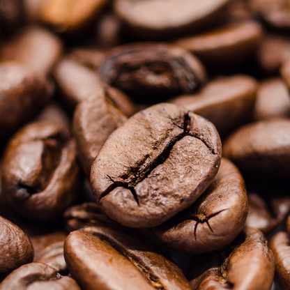 Café bourbon X Microbrasserie Livingstone*Livré seulement dès le 3 décembre*